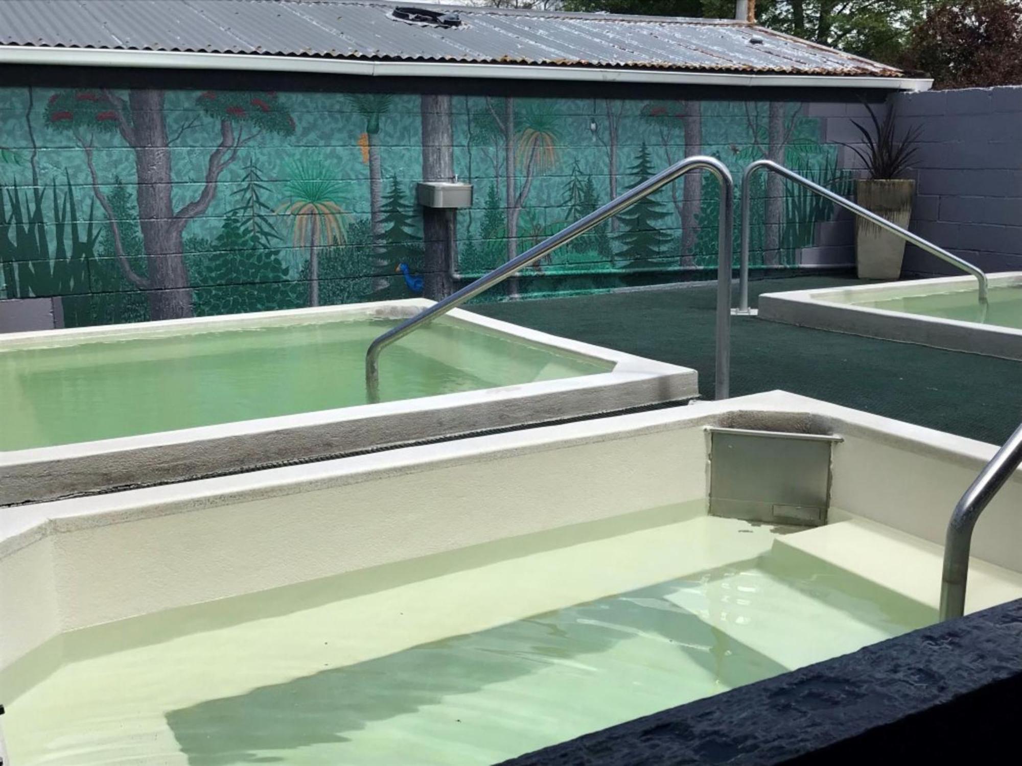 Rotorua Thermal Holiday Park Екстер'єр фото